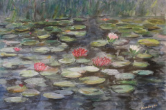 Seerosenteich