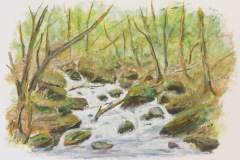 Wildbach Leuk