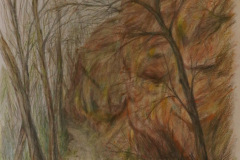 Felsen im Leukbachtal